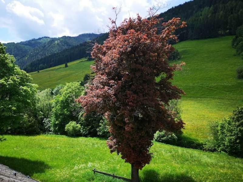 Haus Elsasser Sankt Johann am Tauern 外观 照片